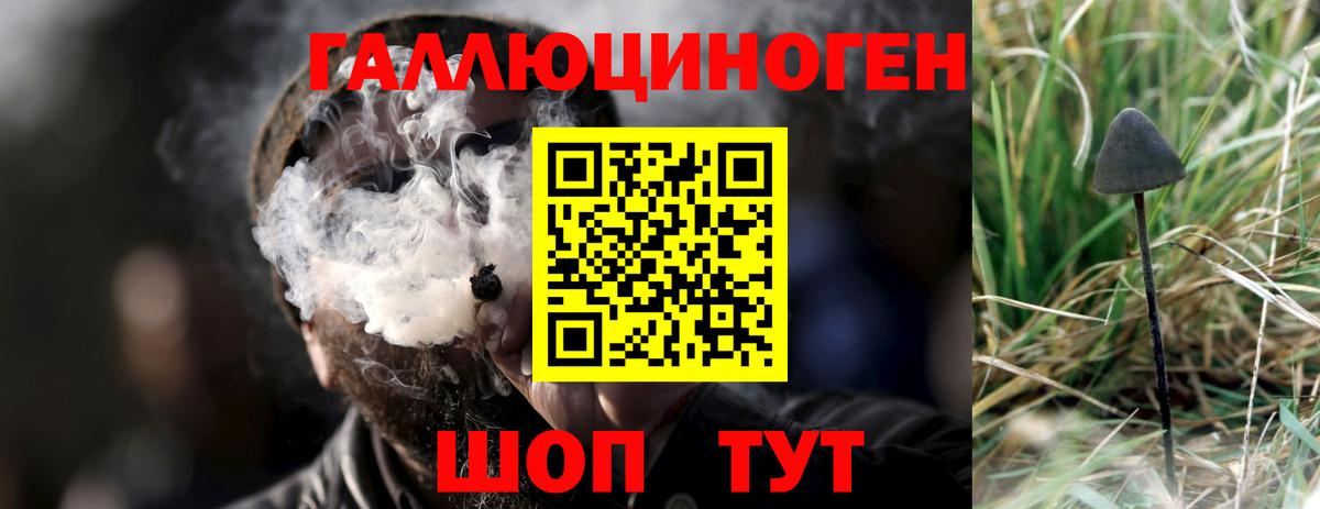 Псилоцибиновые грибы мухоморы  Вход с VPN  что такое   Междуреченск 